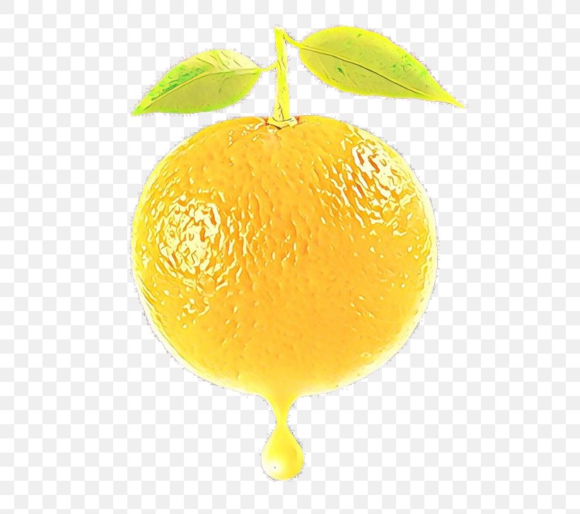 Citrus Lemon Fruit Citron Meyer Lemon, PNG, 600x727px, Cartoon, Citron, Citrus, Fruit, Grapefruit Download Free