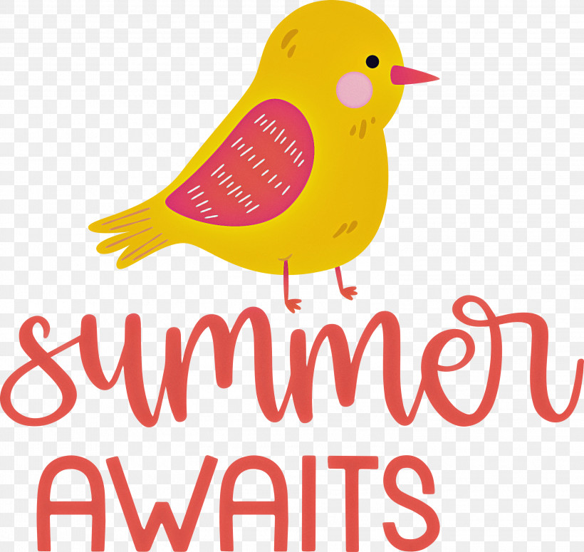 Summer Awaits Summer Summer Vacation, PNG, 2999x2835px, Summer, Beak, Birds, Geometry, Line Download Free