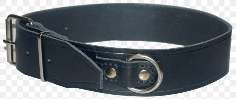 Belt Buckle Leash Strap Collar, PNG, 1600x674px, Belt, Belt Buckle, Belt Buckles, Buckle, Carabiner Download Free