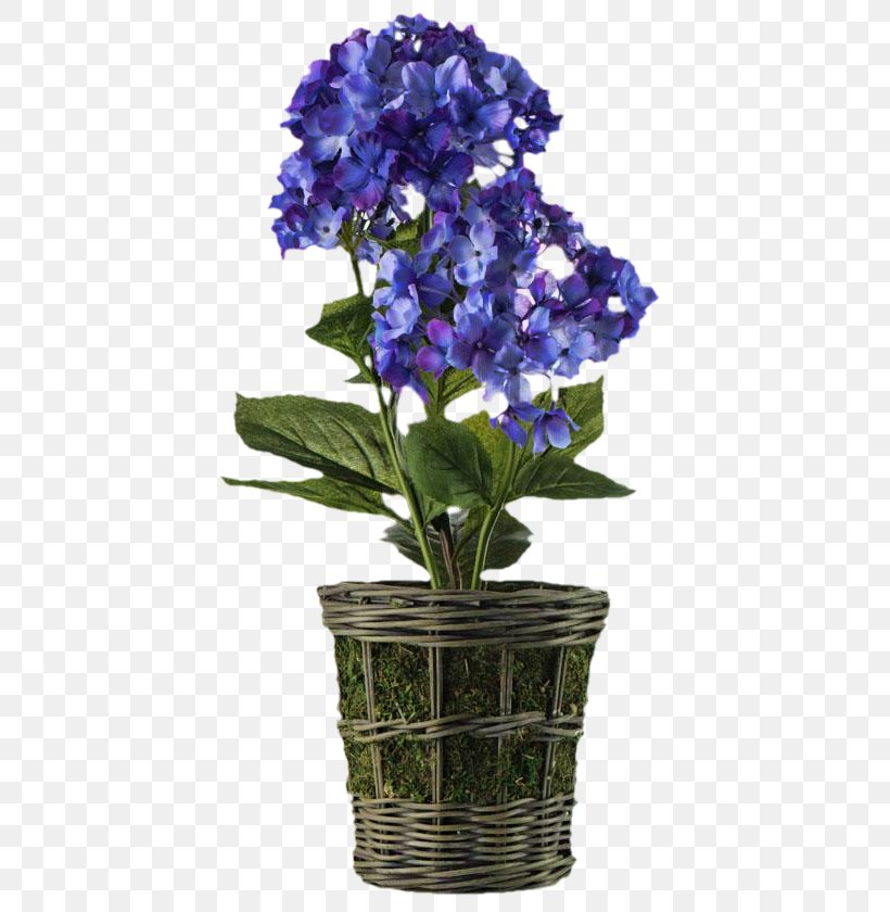 Hydrangea Bellflower Flowerpot Cut Flowers, PNG, 560x840px, Hydrangea, Artificial Flower, Bellflower, Bellflower Family, Blue Download Free