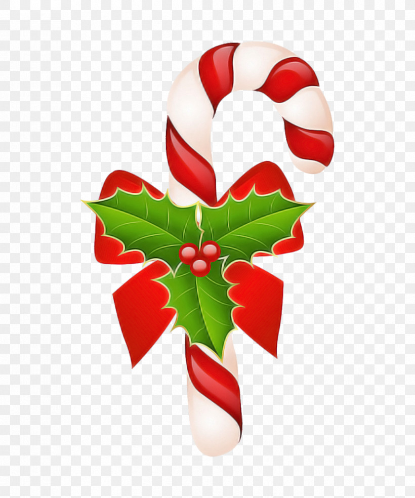 Candy Cane, PNG, 853x1024px, Christmas, Anthurium, Candy, Candy Cane, Confectionery Download Free