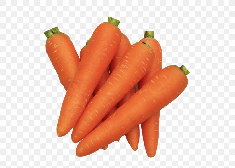 Carrot, PNG, 951x680px, Carrot, Baby Carrot, Bockwurst, Carrot Creative, Daucus Carota Download Free