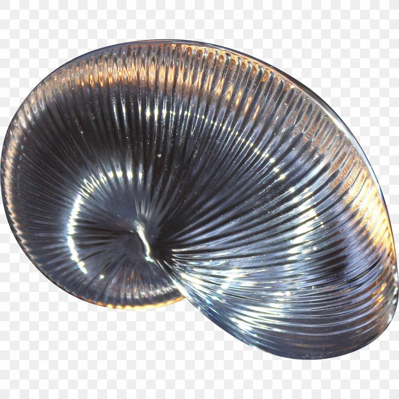 Cockle Clam Mussel Oyster Scallop, PNG, 1810x1810px, Cockle, Clam, Clams Oysters Mussels And Scallops, Mussel, Oyster Download Free
