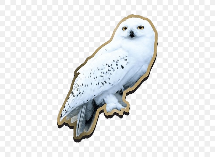 Garrï Potter Harry Potter And The Deathly Hallows Fictional Universe Of Harry Potter Hedwig Harry Potter (Literary Series), PNG, 600x600px, Fictional Universe Of Harry Potter, Animal Figure, Beak, Bird, Bird Of Prey Download Free