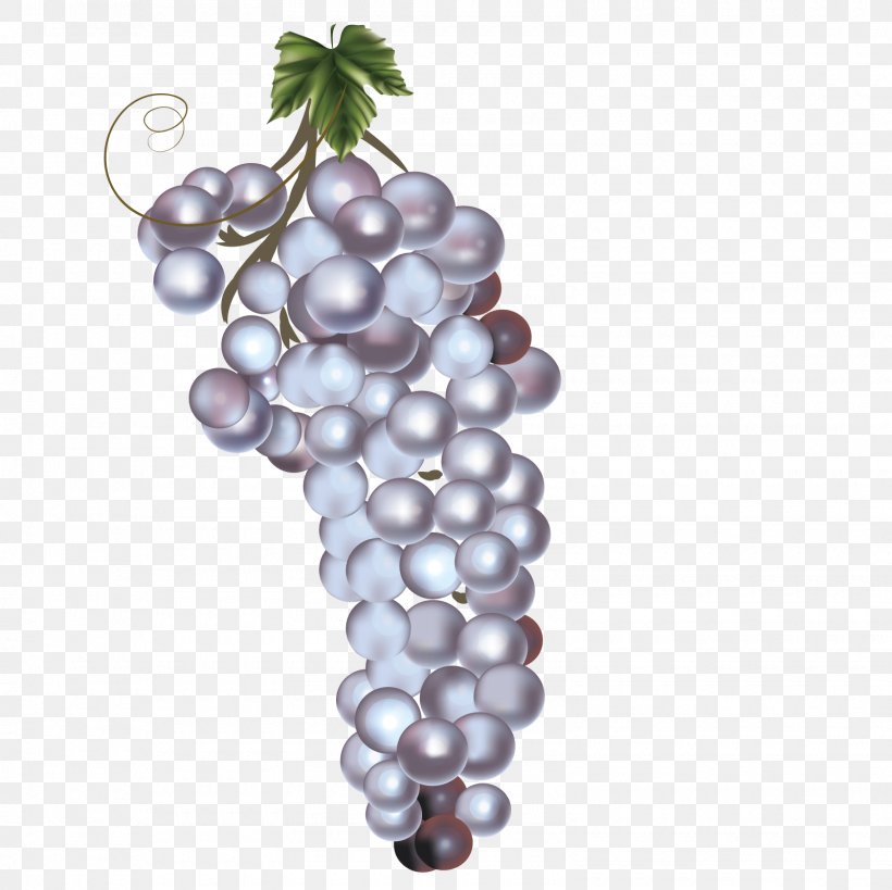Grape ArtWorks, PNG, 1600x1600px, Grape, Artworks, Black String, Flowering Plant, Food Download Free