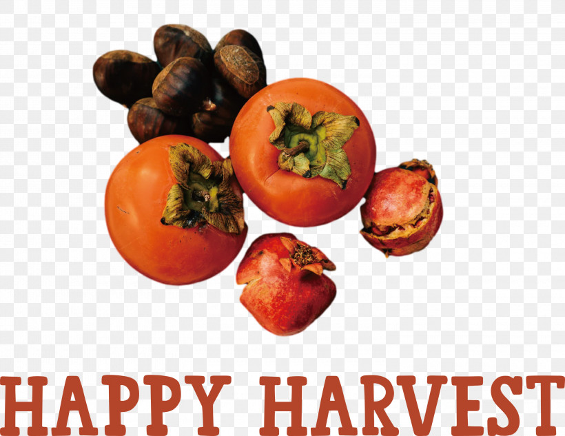 Happy Harvest Harvest Time, PNG, 3000x2316px, Happy Harvest, Drawing, Fruit, Harvest Time, Juice Download Free