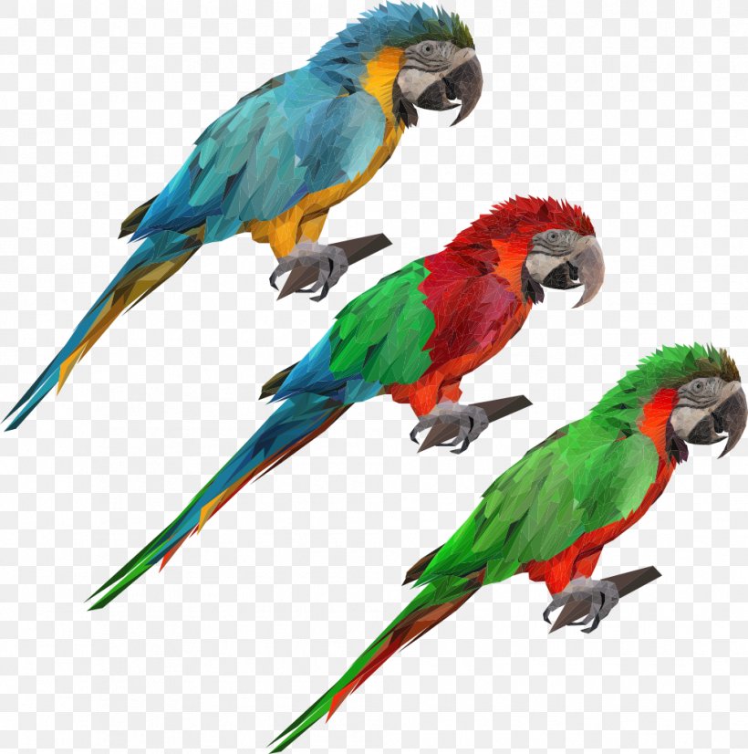 Parrot Bird Blue-and-yellow Macaw, PNG, 992x1000px, Parrot, Beak, Bird, Blueandyellow Macaw, Common Pet Parakeet Download Free