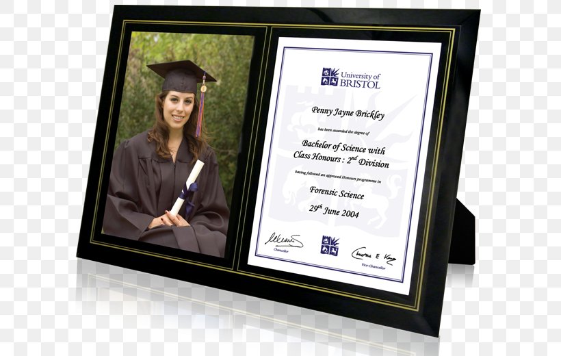 Picture Frames Diploma Graduation Ceremony Academic Certificate, PNG, 605x520px, Picture Frames, Academic Certificate, Diploma, Graduate Certificate, Graduate University Download Free