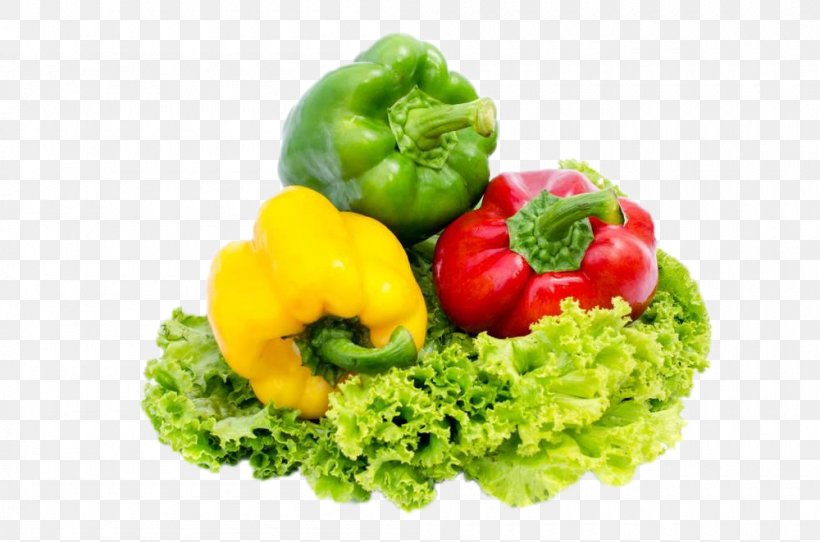 Bell Pepper Lettuce Chili Pepper Vegetable Food, PNG, 1000x662px, Bell Pepper, Bell Peppers And Chili Peppers, Black Pepper, Broccoli, Capsicum Download Free