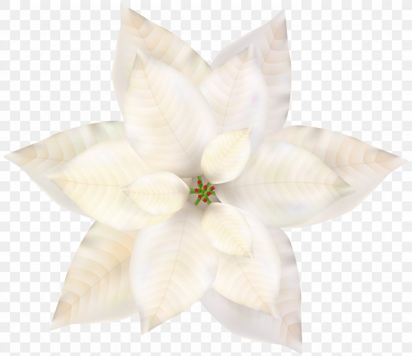Cut Flowers Petal Flowering Plant, PNG, 6000x5175px, Cut Flowers, Flower, Flowering Plant, Petal, Plant Download Free