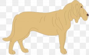 Matrimony Banner - Dog Breed Lion Cat Pet PNG