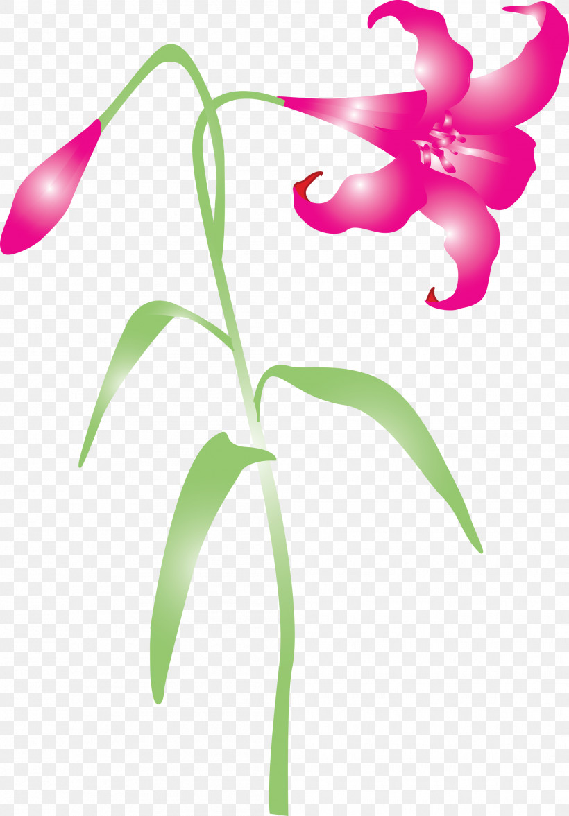Easter Flower Spring Flower, PNG, 2089x3000px, Easter Flower, Flower, Impatiens, Magenta, Orchid Download Free