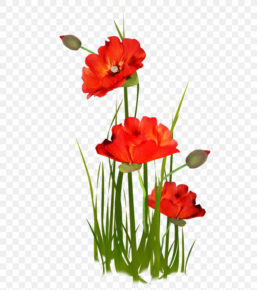Flower Image Floral Design, PNG, 1418x1600px, Flower, Artificial Flower, Botany, Coquelicot, Corn Poppy Download Free