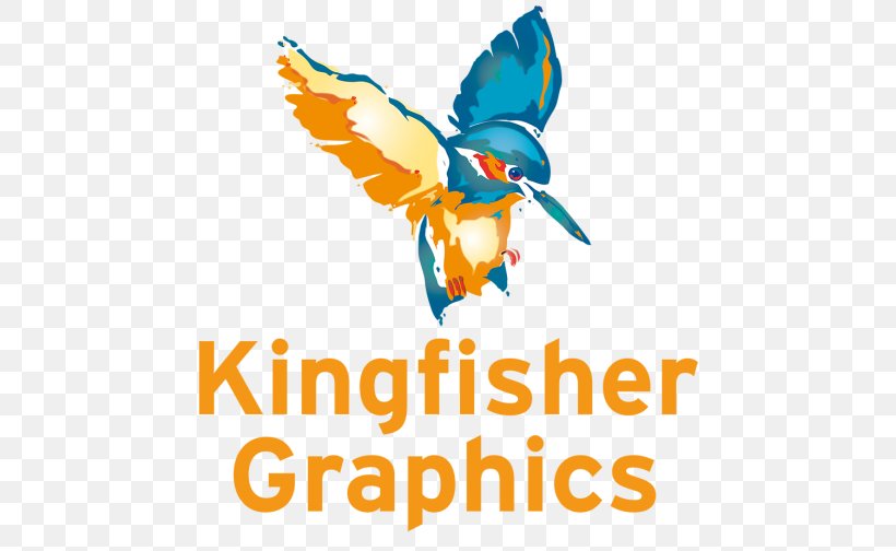 Kingfisher Graphics Limited Belted Kingfisher Drawing, PNG, 519x504px, Kingfisher Graphics Limited, Art Director, Artwork, Beak, Belted Kingfisher Download Free