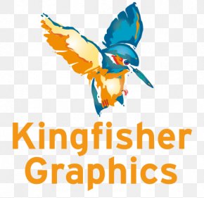 Kingfisher - Kingfisher Graphics Limited Belted Kingfisher Drawing PNG