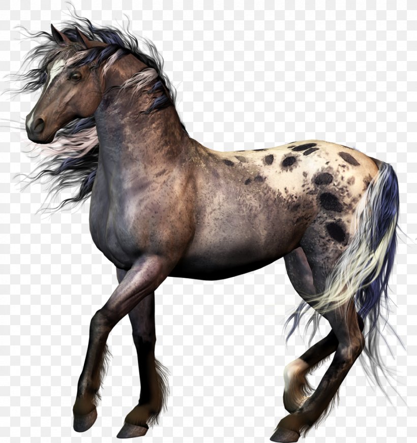 Mustang American Paint Horse Colt Foal, PNG, 1128x1200px, Mustang, American Paint Horse, Animal, Colt, Course De Chevaux Download Free