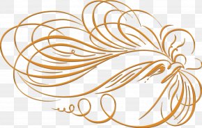 Calligraphy - Photography Clip Art PNG