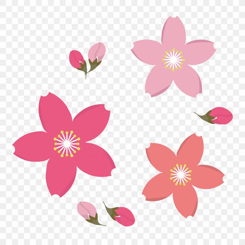 Frangipani Drawing Clip Art, PNG, 1819x1819px, Frangipani, Art, Blossom, Drawing, Flora Download Free