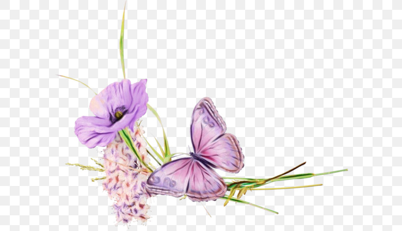 Lavender, PNG, 600x472px, Watercolor, Biology, Butterflies, Flora, Flower Download Free