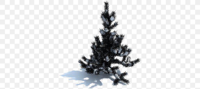 Spruce Fir Tree, PNG, 338x365px, Spruce, Branch, Christmas Decoration, Christmas Ornament, Christmas Tree Download Free