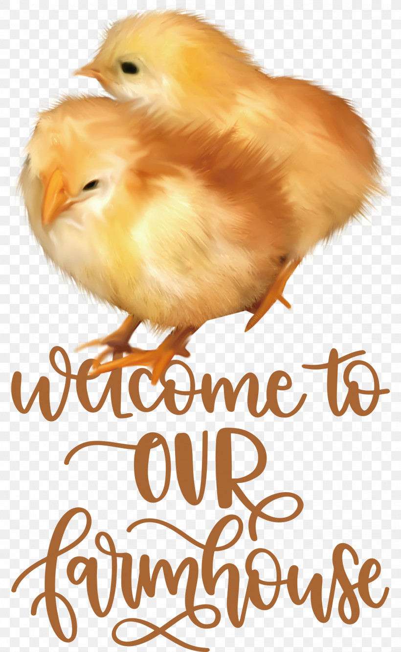 Welcome To Our Farmhouse Farmhouse, PNG, 1848x2999px, Farmhouse, Beak, Chicken, Landfowl, Meter Download Free