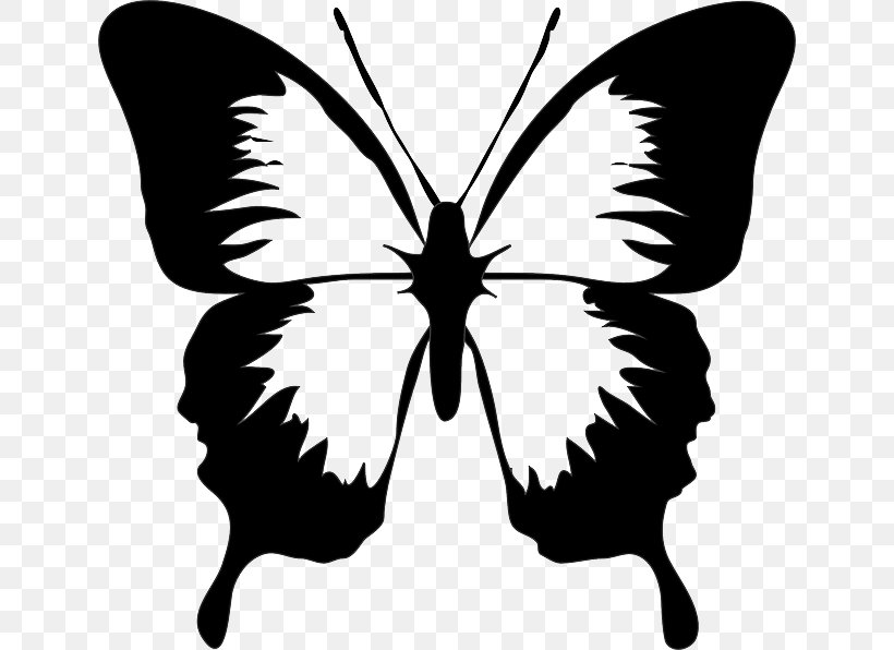 Butterfly Drawing Clip Art, PNG, 640x596px, Butterfly, Arthropod, Black And White, Brush Footed Butterfly, Document Download Free