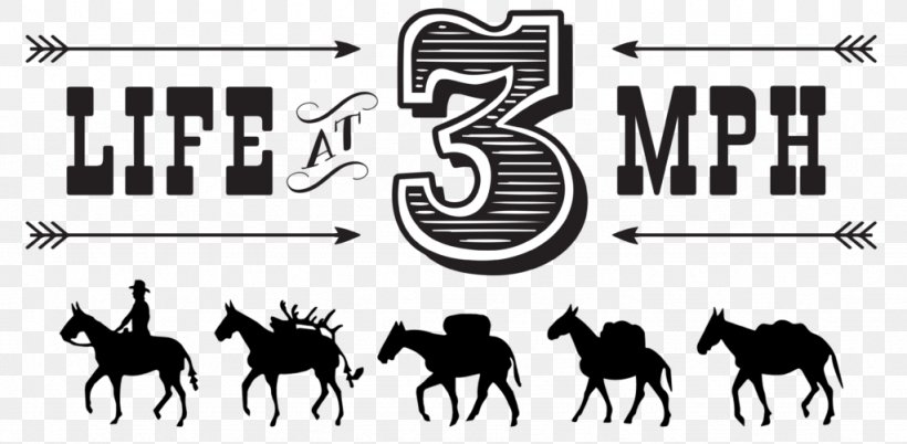 Estes Park Mule Mustang Logo Clip Art, PNG, 1024x503px, Estes Park, Black And White, Brand, Drawing, Equestrian Download Free