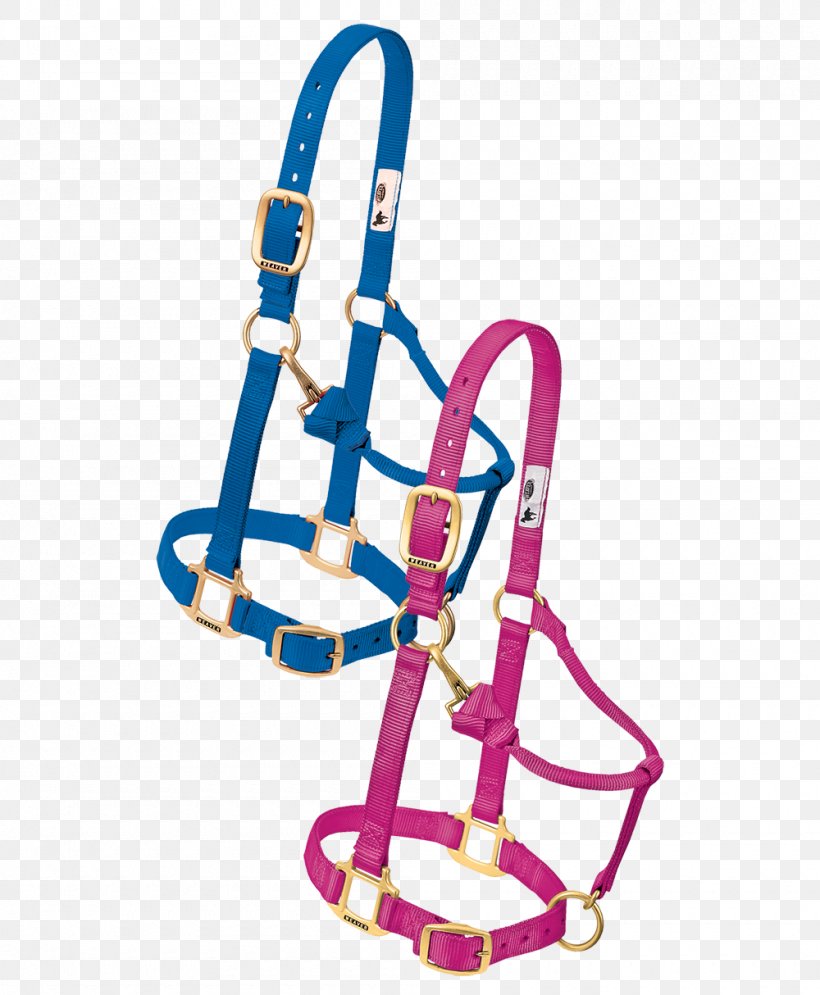 Halter Nylon Cob Leather Equestrian, PNG, 1000x1214px, Halter, Blue, Climbing Harness, Clothing, Cob Download Free