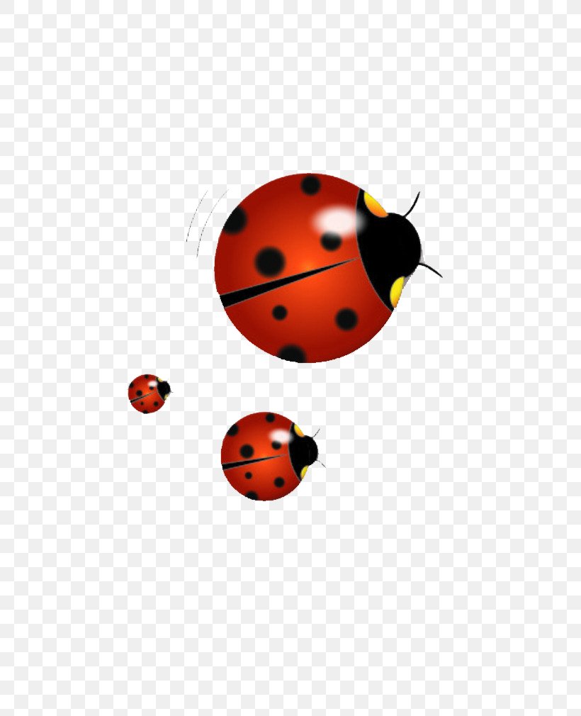 Ladybird Illustration, PNG, 724x1010px, Ladybird, Beetle, Coccinelle, Drawing, Insect Download Free
