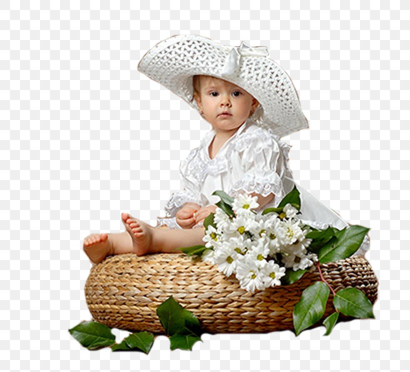 0 Child 1 May 2, PNG, 800x744px, 2014, 2016, 2017, 2018, Basket Download Free