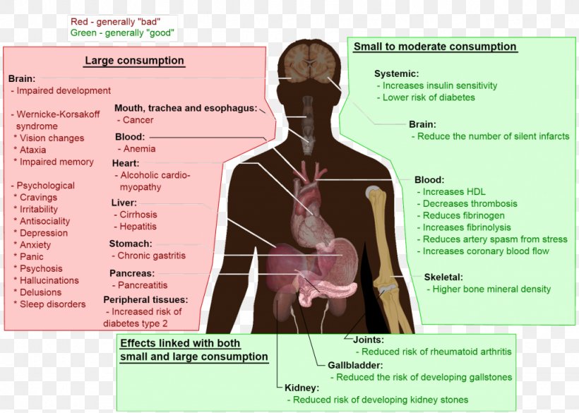 Alcoholism Long-term Effects Of Alcohol Consumption Alcohol And Health Adverse Effect Alcoholic Drink, PNG, 1024x731px, Watercolor, Cartoon, Flower, Frame, Heart Download Free