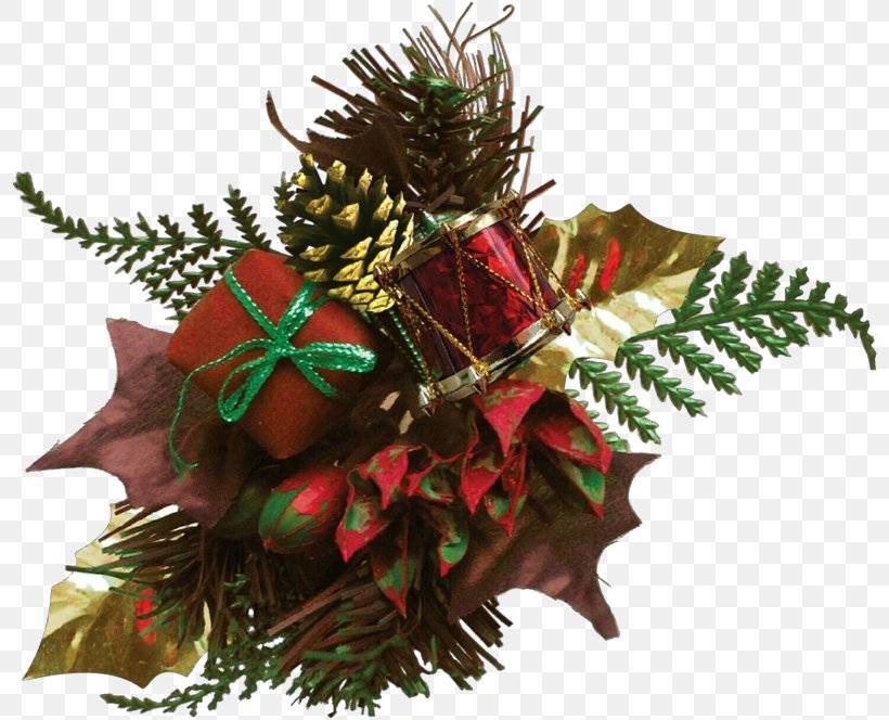Christmas Ornament, PNG, 800x664px, Oregon Pine, Christmas Decoration, Christmas Ornament, Fir, Flower Download Free