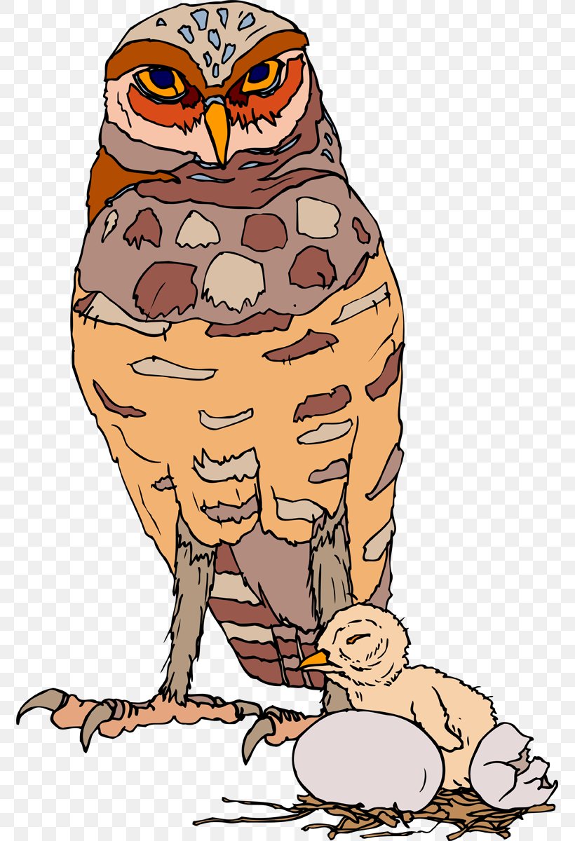 Owl Clip Art Bird Beak Illustration, PNG, 773x1200px, Owl, Beak, Bird, Bird Of Prey, Cartoon Download Free