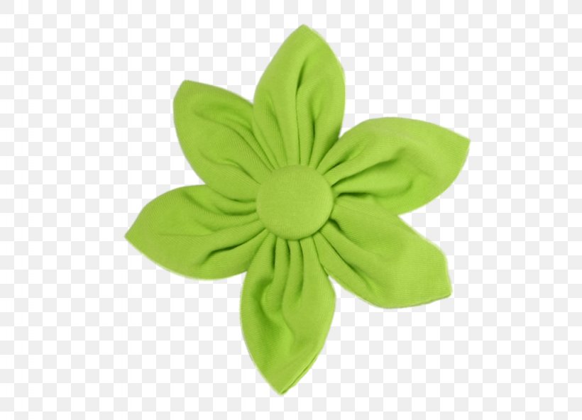 Petal Green Flower Clothing, PNG, 1024x740px, Petal, Clothing, Flower, Green Download Free