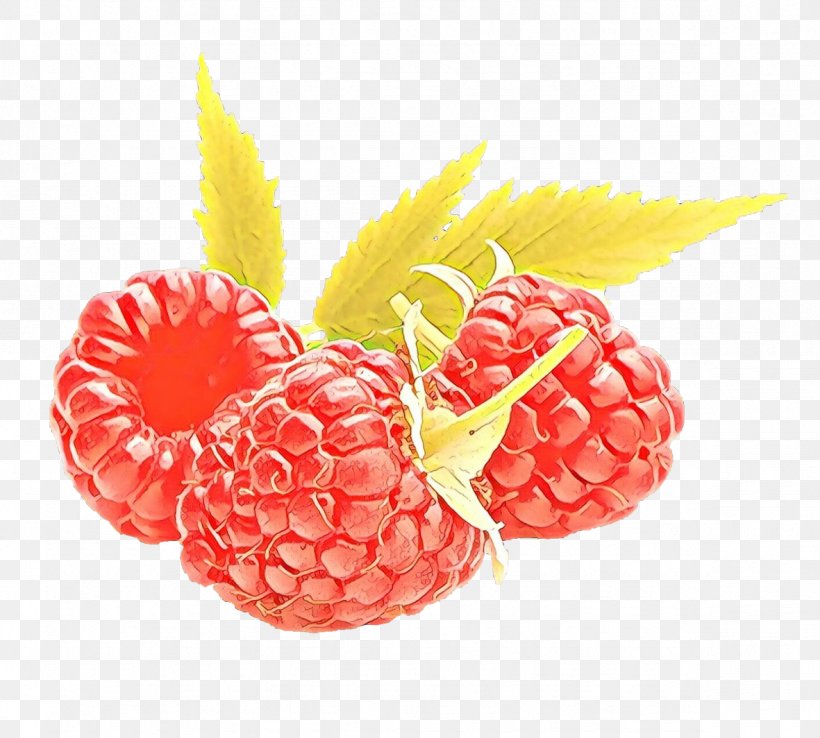 Pineapple, PNG, 1181x1064px, Cartoon, Accessory Fruit, Berry, Blackberry, Food Download Free