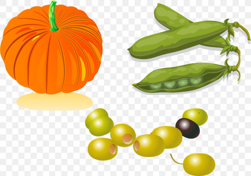 Snow Pea Edamame Vegetarian Cuisine Bean, PNG, 832x585px, Snow Pea, Bean, Calabaza, Cartoon, Common Bean Download Free