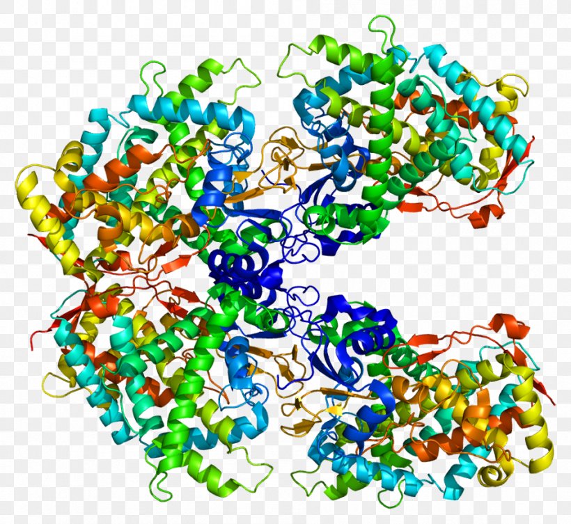 Cytochrome P450 CYP2A6 Structure Enzyme, PNG, 947x870px, Watercolor, Cartoon, Flower, Frame, Heart Download Free