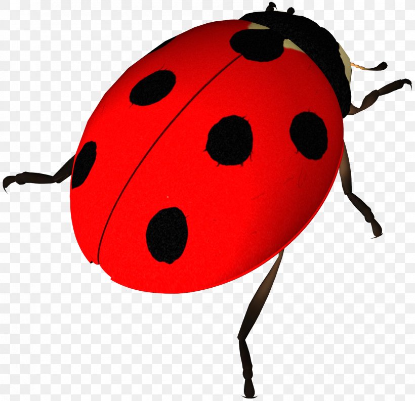 Display Resolution Ladybird Clip Art, PNG, 1482x1434px, Display Resolution, Arthropod, Beetle, Gimp, Insect Download Free