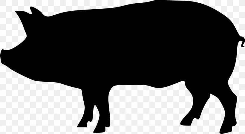 Domestic Pig Silhouette Clip Art, PNG, 981x536px, Domestic Pig, Black, Black And White, Cattle Like Mammal, Drawing Download Free