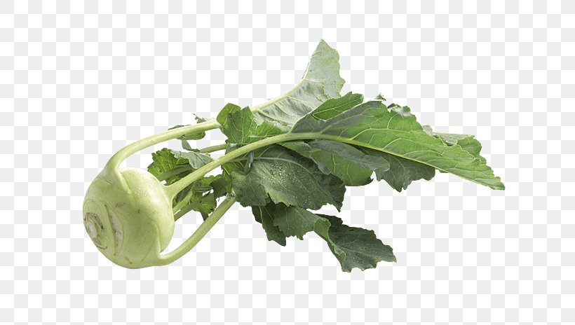 Spring Greens Collard Greens Kale Kohlrabi Rapini, PNG, 718x464px, Spring Greens, Cabbage, Cabbages, Cauliflower, Collard Greens Download Free