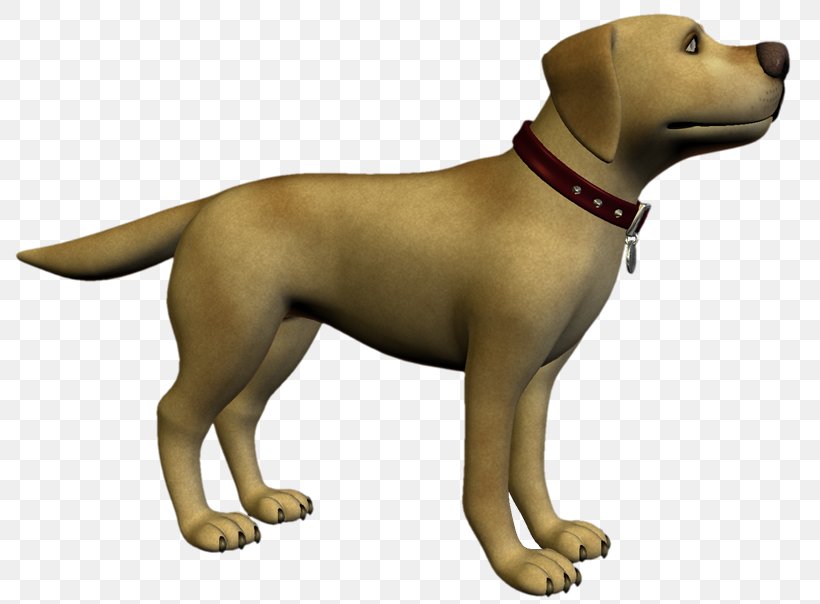 Labrador Retriever Puppy Dog Breed Companion Dog, PNG, 800x604px, Labrador Retriever, Breed, Carnivoran, Companion Dog, Crossbreed Download Free