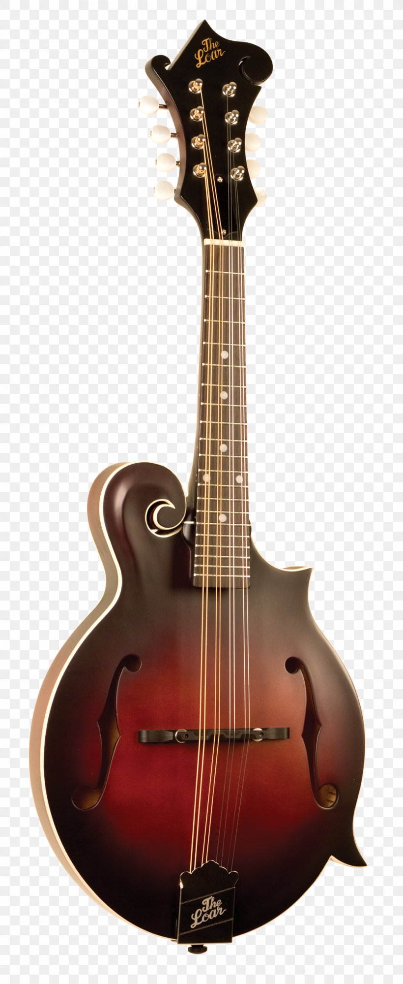 Mandolin The Loar LM-520 Musical Instruments Guitar Neck, PNG, 1000x2439px, Watercolor, Cartoon, Flower, Frame, Heart Download Free