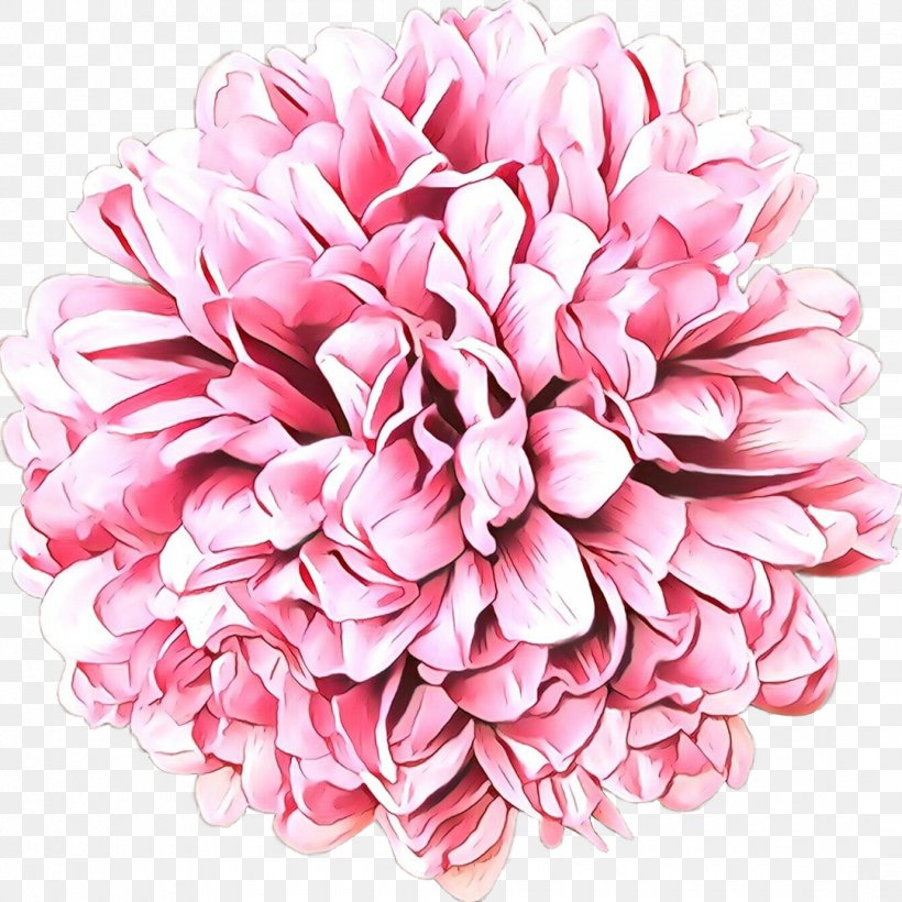 Pink Flower Cartoon, PNG, 1080x1080px, Flower, Artificial Flower, Blog, Centerblog, Chrysanthemum Download Free