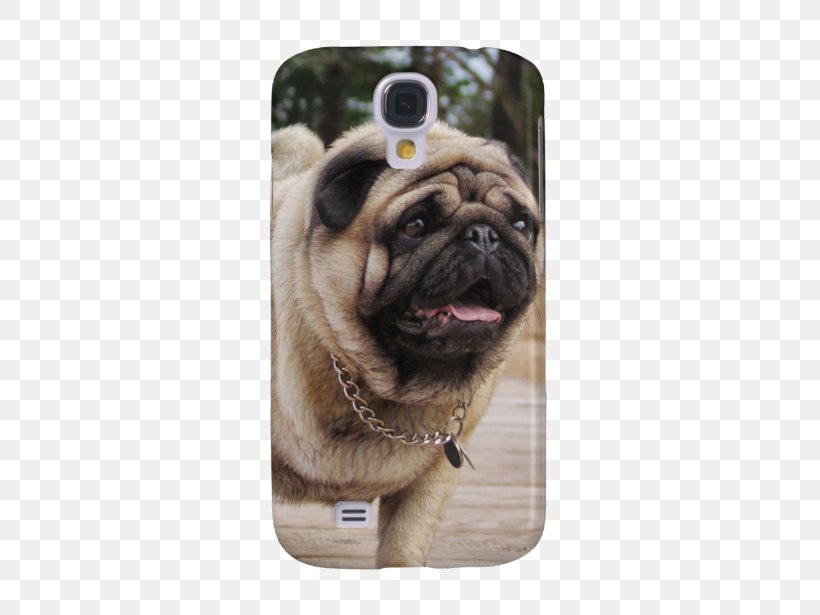 Pug Samsung Galaxy S5 Dog Breed IPhone 5s Nexus 5, PNG, 615x615px, Pug, Carnivoran, Dog, Dog Breed, Dog Breed Group Download Free