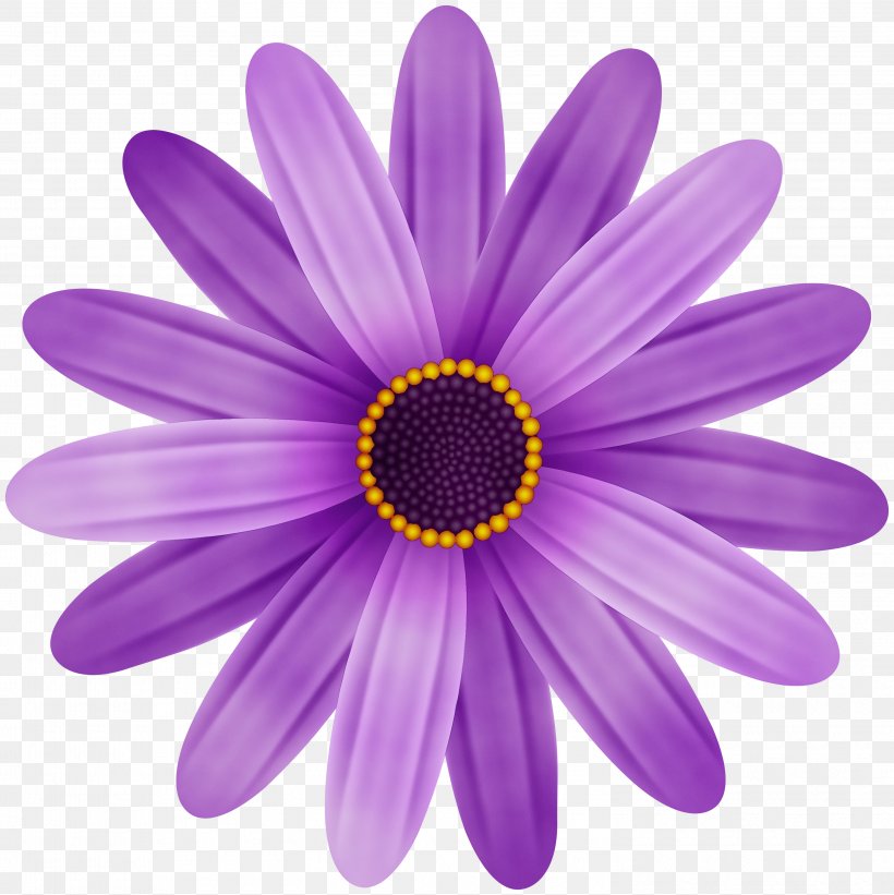 Daisy, PNG, 2995x3000px, Watercolor, African Daisy, Barberton Daisy, Daisy, Flower Download Free