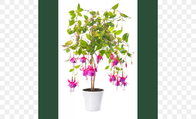 Houseplant Flowerpot Crock, PNG, 500x500px, Houseplant, Artificial Flower, Bonsai, Branch, Crock Download Free
