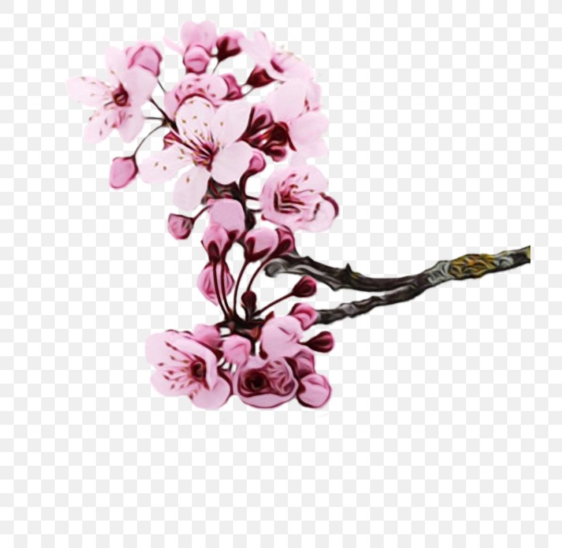 Cherry Blossom, PNG, 729x800px, Watercolor, Blossom, Branch, Cherry Blossom, Flower Download Free