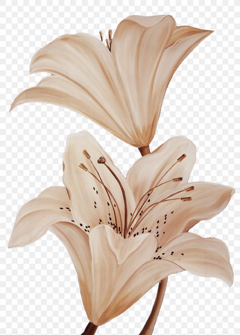 Light Petal Color Lilium, PNG, 945x1318px, Light, Color, Fleurdelis, Flower, Lilium Download Free