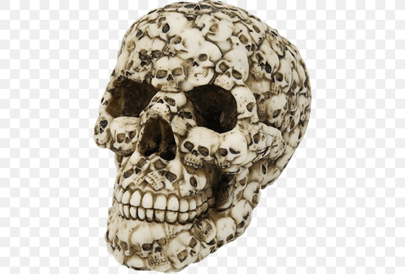 Skull Human Skeleton Bone Tooth, PNG, 555x555px, Skull, Bone, Death, Hand, Human Skeleton Download Free