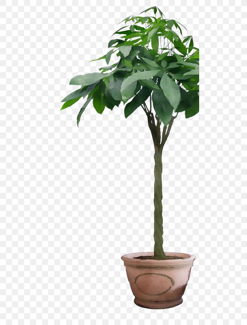 Flowerpot Plant Flower Tree Houseplant, PNG, 502x1079px, Watercolor, Flower, Flowering Plant, Flowerpot, Houseplant Download Free